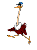 Gif animaux