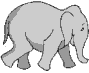 Gif animaux