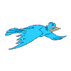 Gif animaux