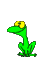 Gif animaux