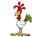 Gif animaux