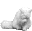 Gif animaux