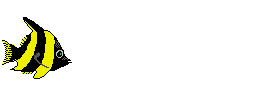 Gif animé animaux