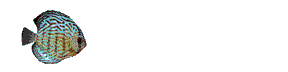 Gif animé animaux