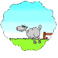 Gif animé animaux