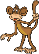 Gif animé animaux