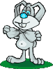 Gif animé animaux